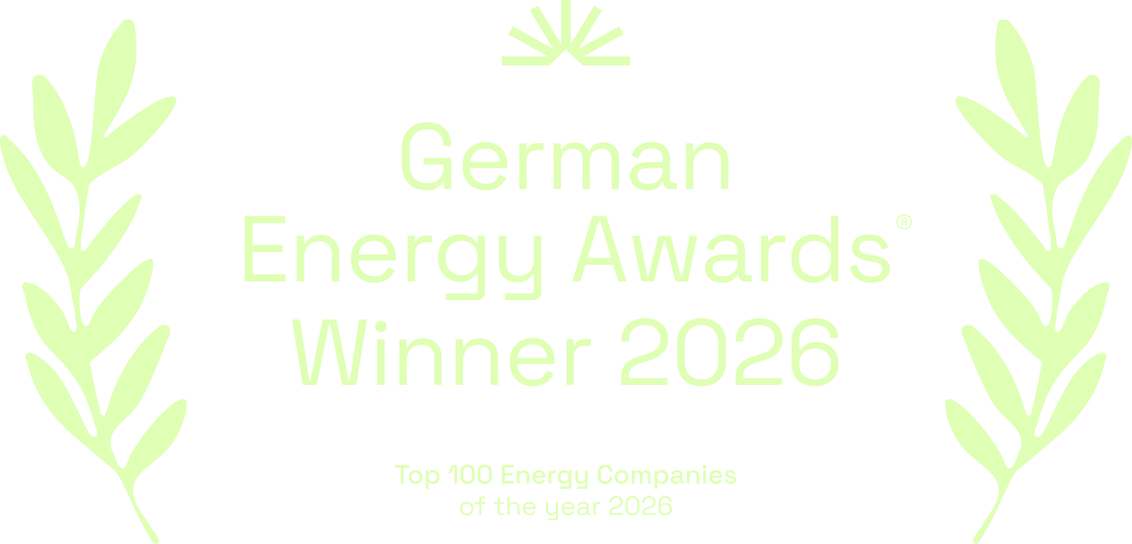 German Energy Award 2026 Siegel